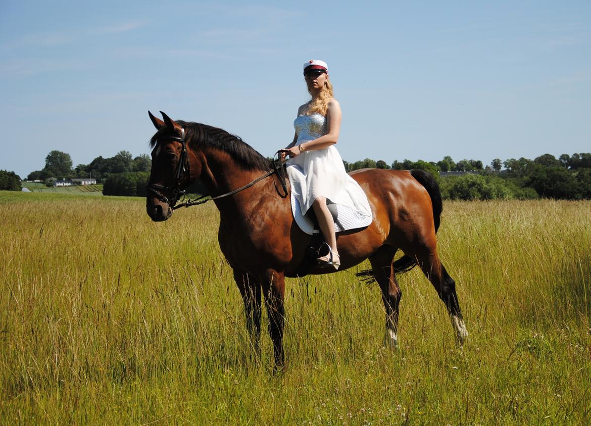 Dansk Varmblod Slumstrups May boy - Student 2013 - Mayboy var en ren engel, at have med at gøre :) billede 18