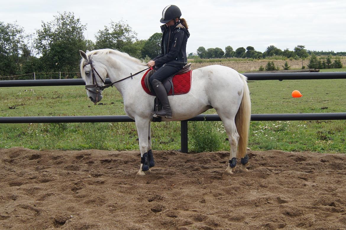 Anden særlig race Maicha - Sommer 2013 billede 6