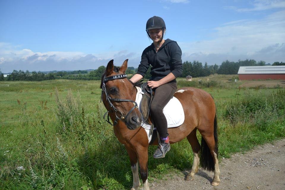 Pinto Dyrkærgaards Loverboy/Boysen - Min bedste ven ♥ billede 16
