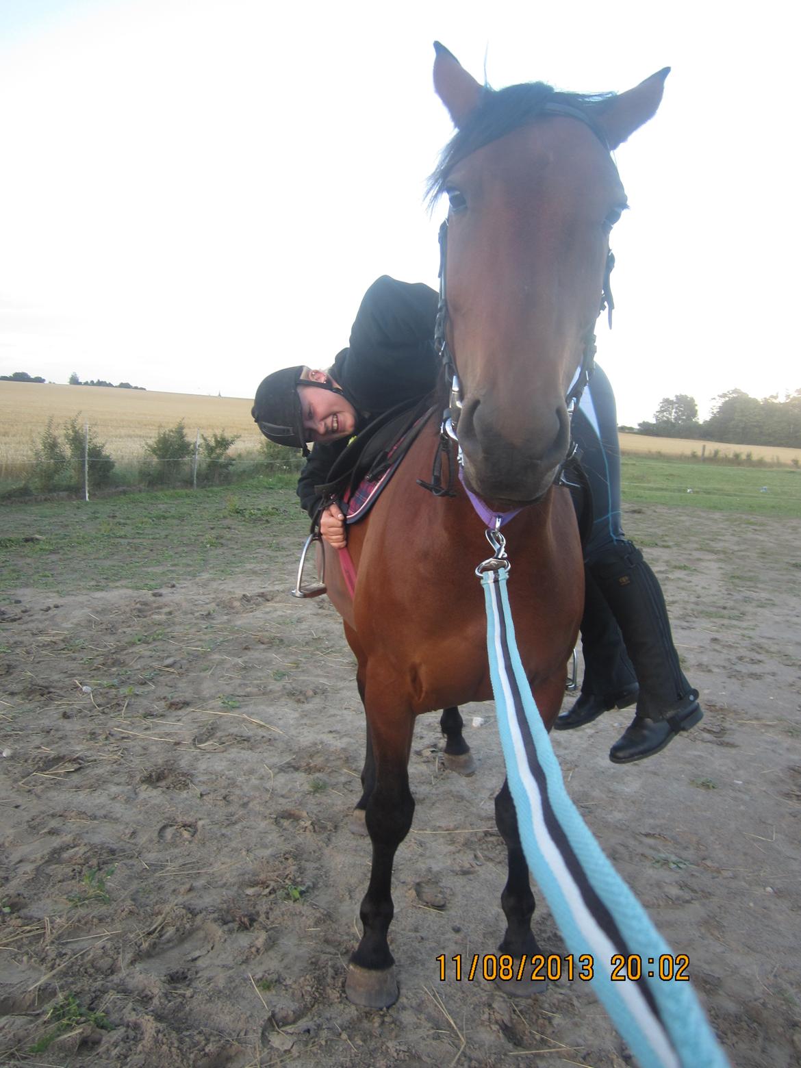 Anden særlig race Babe billede 8