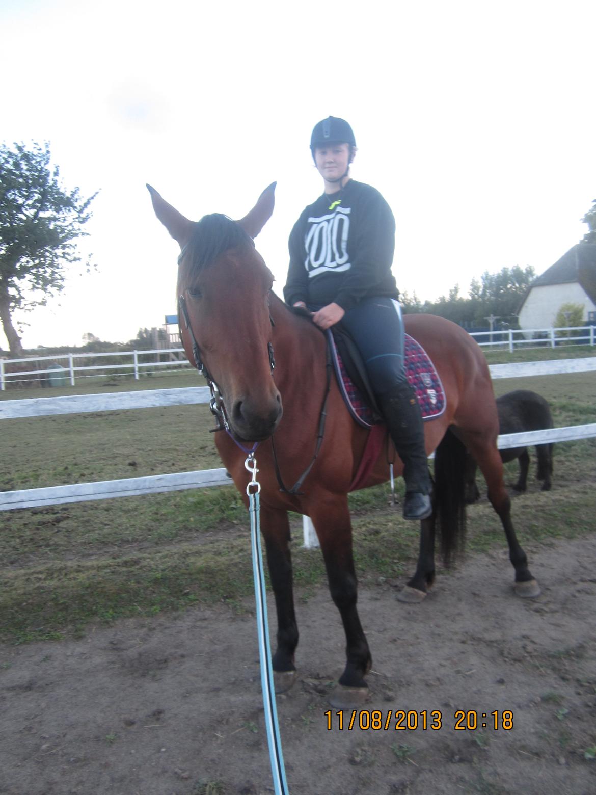 Anden særlig race Babe billede 9