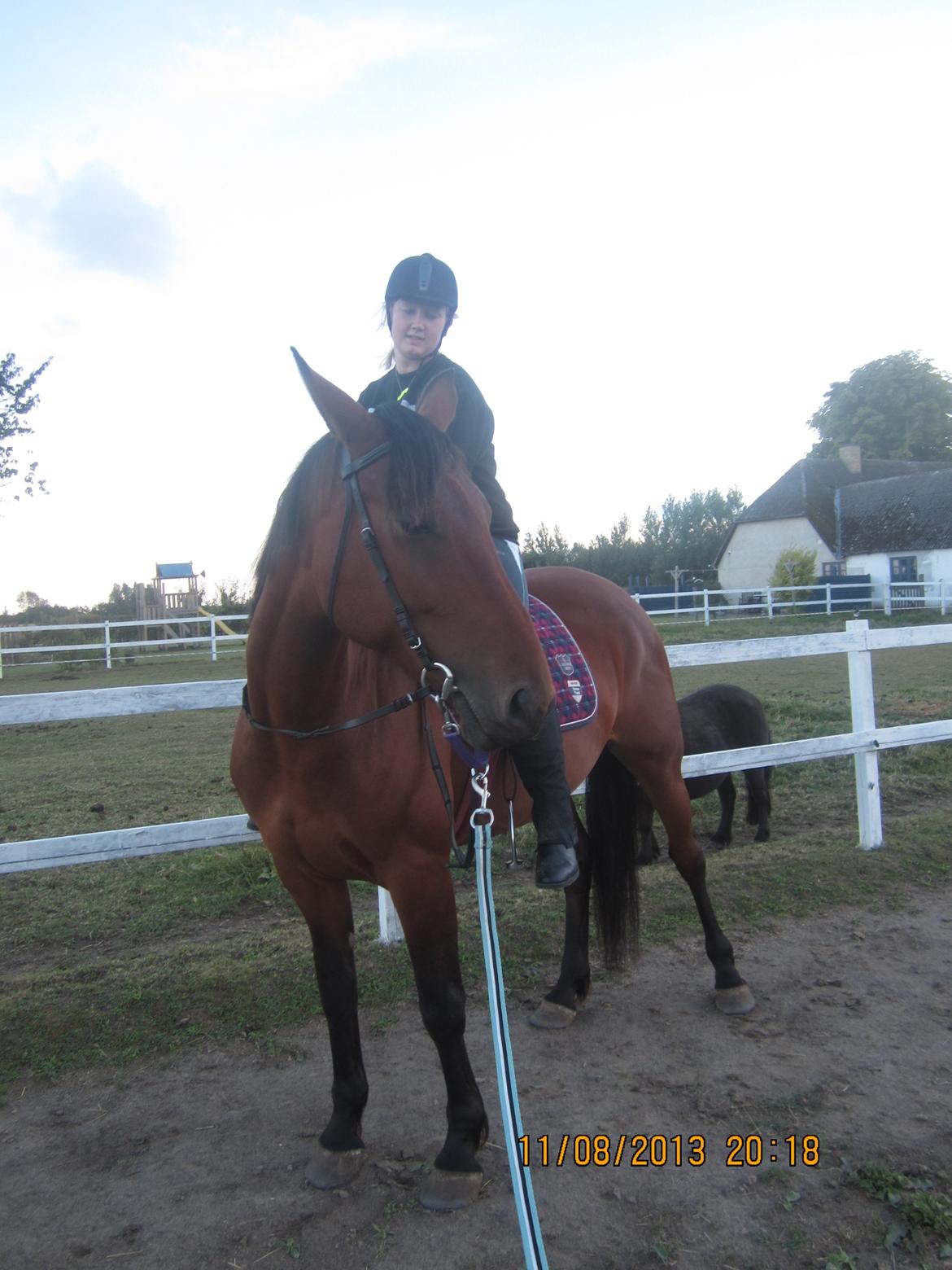 Anden særlig race Babe billede 1