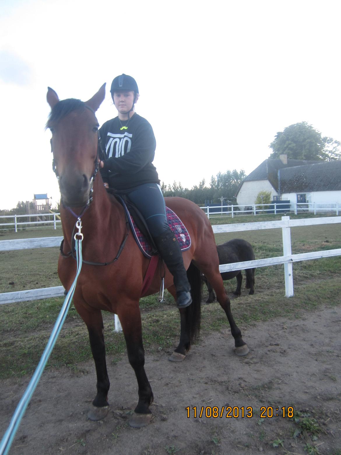 Anden særlig race Babe billede 10