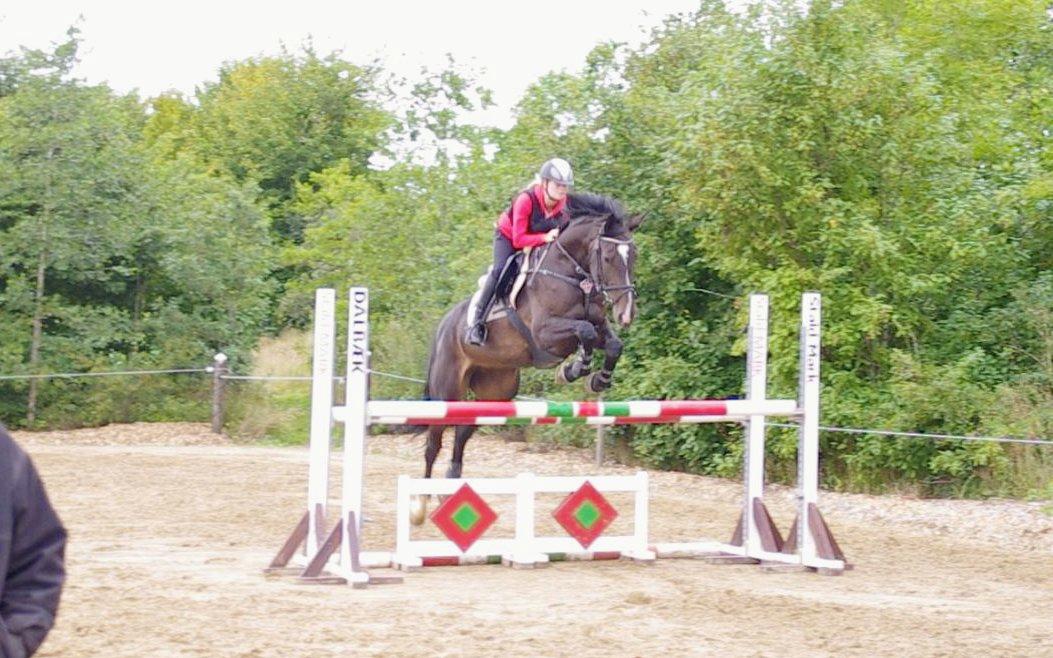 Hannoveraner Come Up 2 - Kursus hos Aabo (taget fra video) billede 21