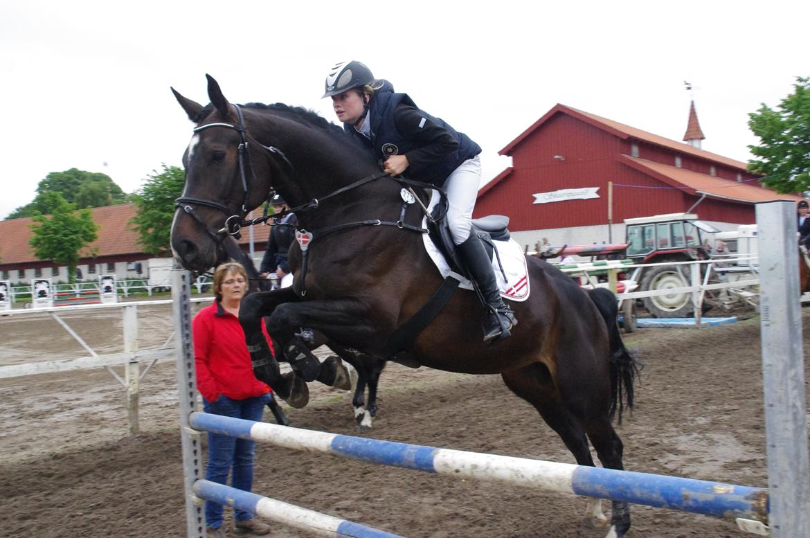 Hannoveraner Come Up 2 - Opvarmning på Skaarupgaard billede 11