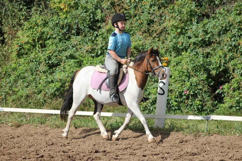 Anden særlig race Beauty - Baun photo billede 12