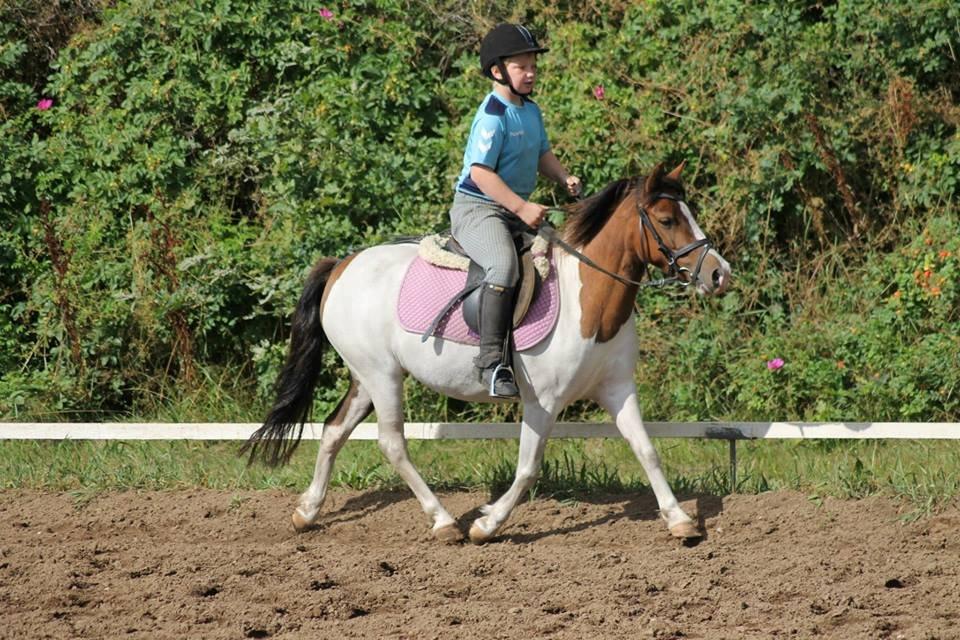 Anden særlig race Beauty - Baun photo billede 13