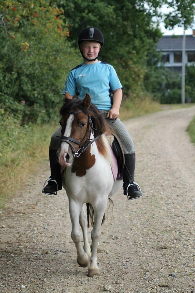 Anden særlig race Beauty - Baun photo billede 15