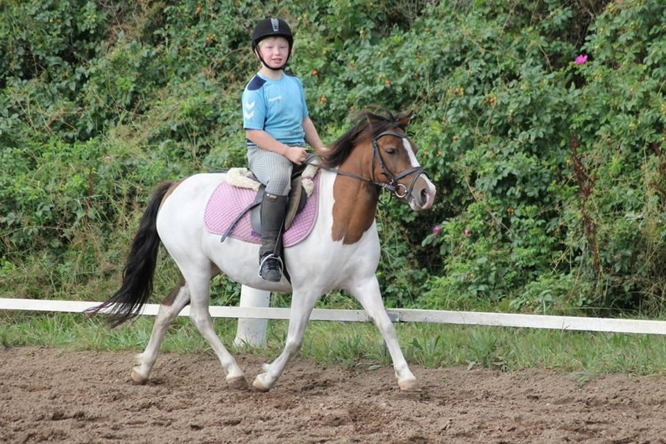 Anden særlig race Beauty billede 18