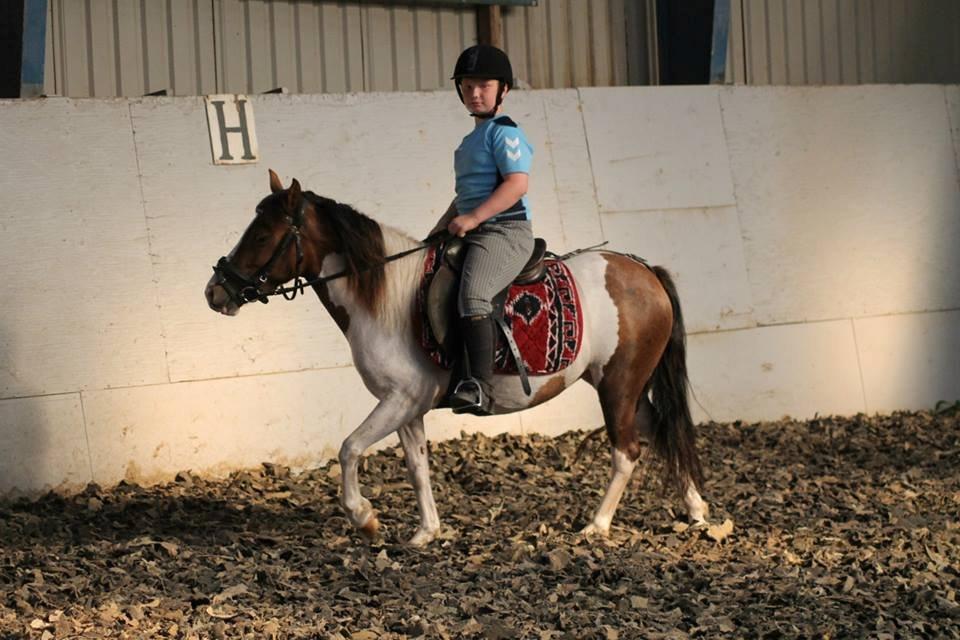 Anden særlig race Beauty billede 19