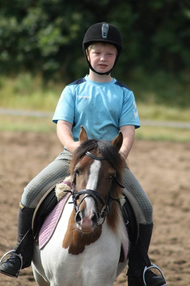 Anden særlig race Beauty billede 20