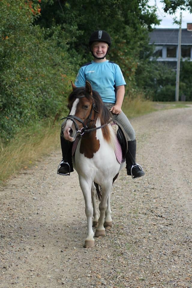 Anden særlig race Beauty - Beauty og Frederik på tur. Baun photo billede 2