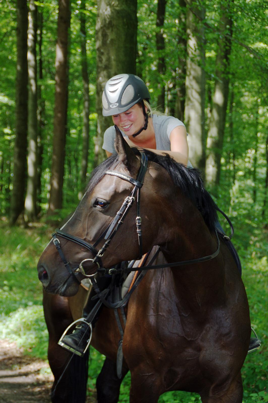 Hannoveraner Come Up 2 - Min prinsesse :-) billede 23