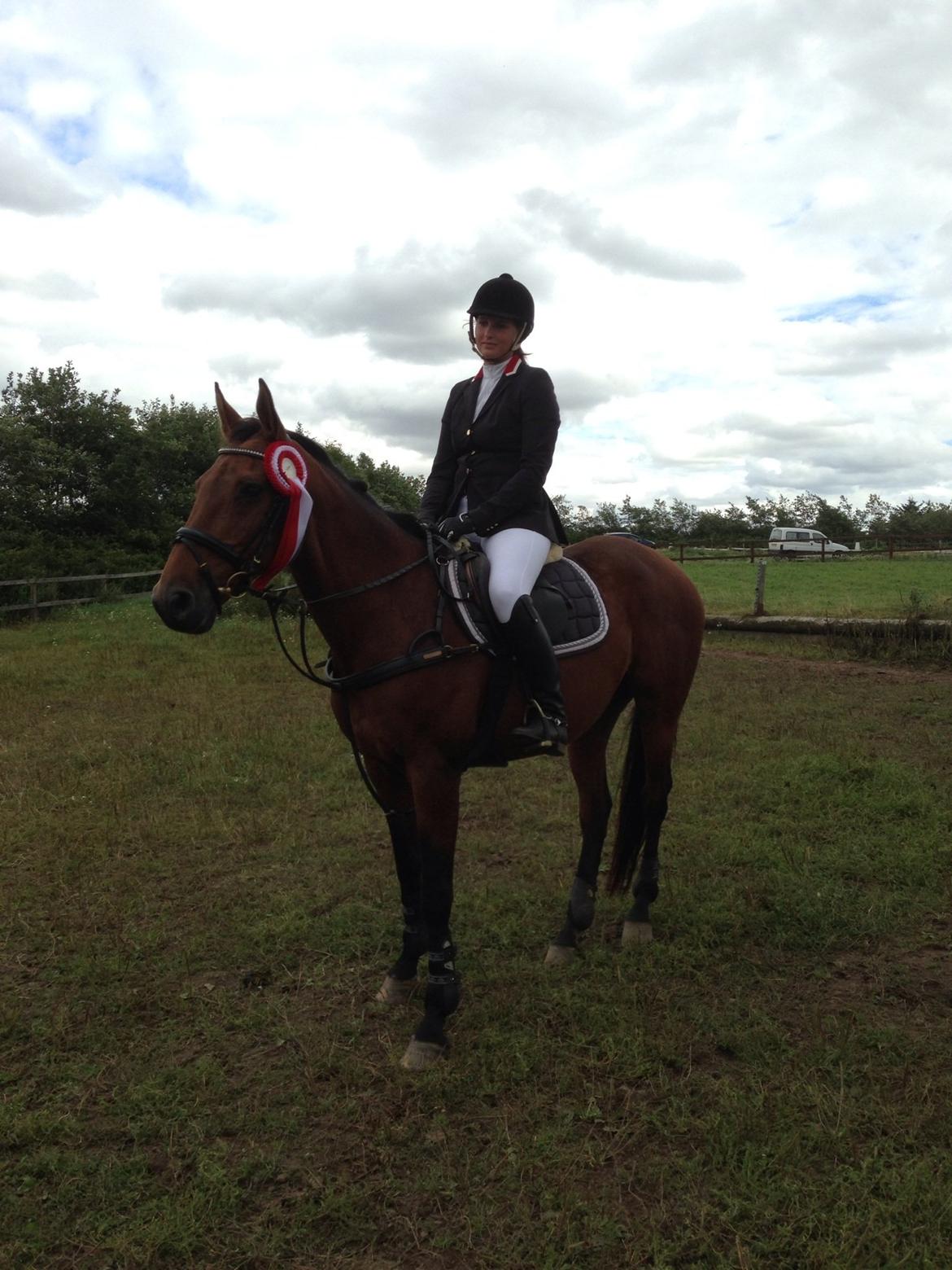 Dansk Varmblod Qvinni billede 18