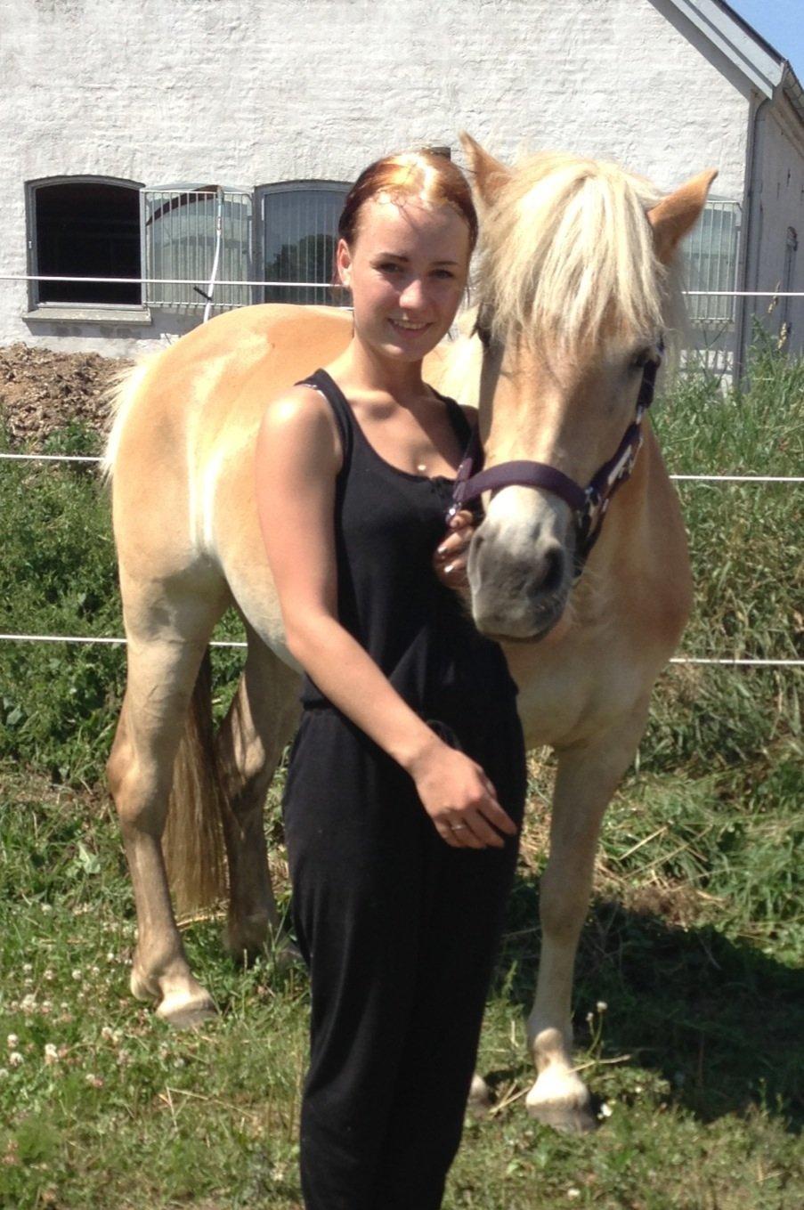 Haflinger KBK 10 Hera billede 3