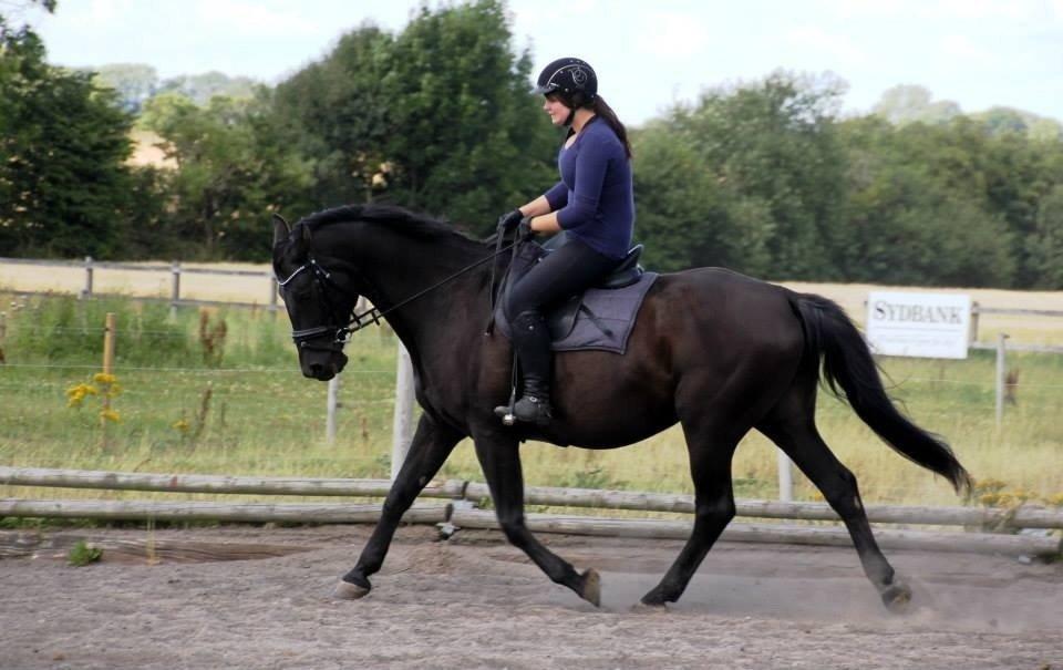 Anden særlig race Black Choise - Foto : Berit krintel billede 4