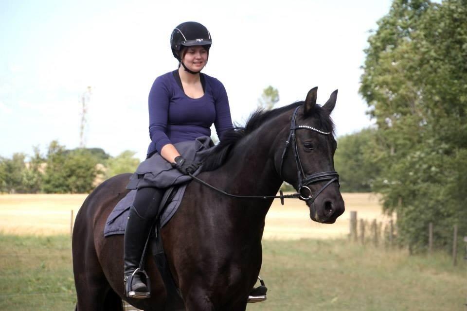 Anden særlig race Black Choise - Foto : Berit krintel billede 8