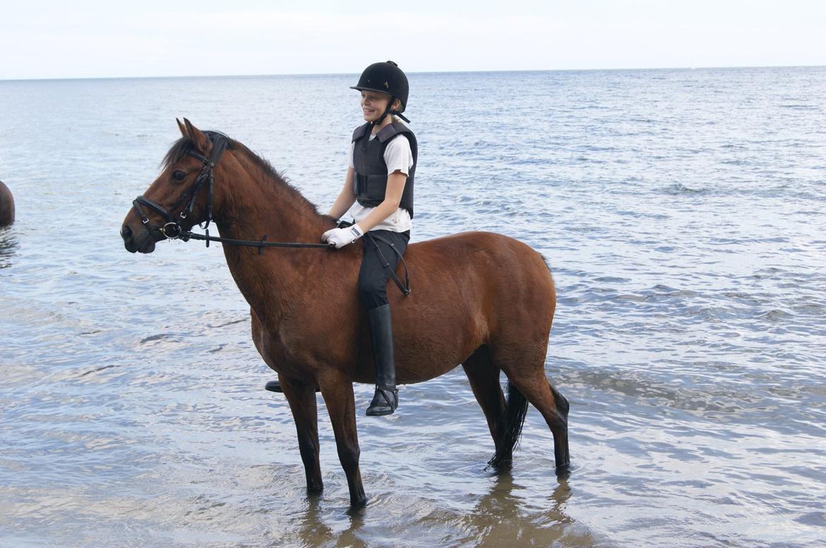 Anden særlig race Clarikken - Den smukke på stranden 2012 :D billede 13