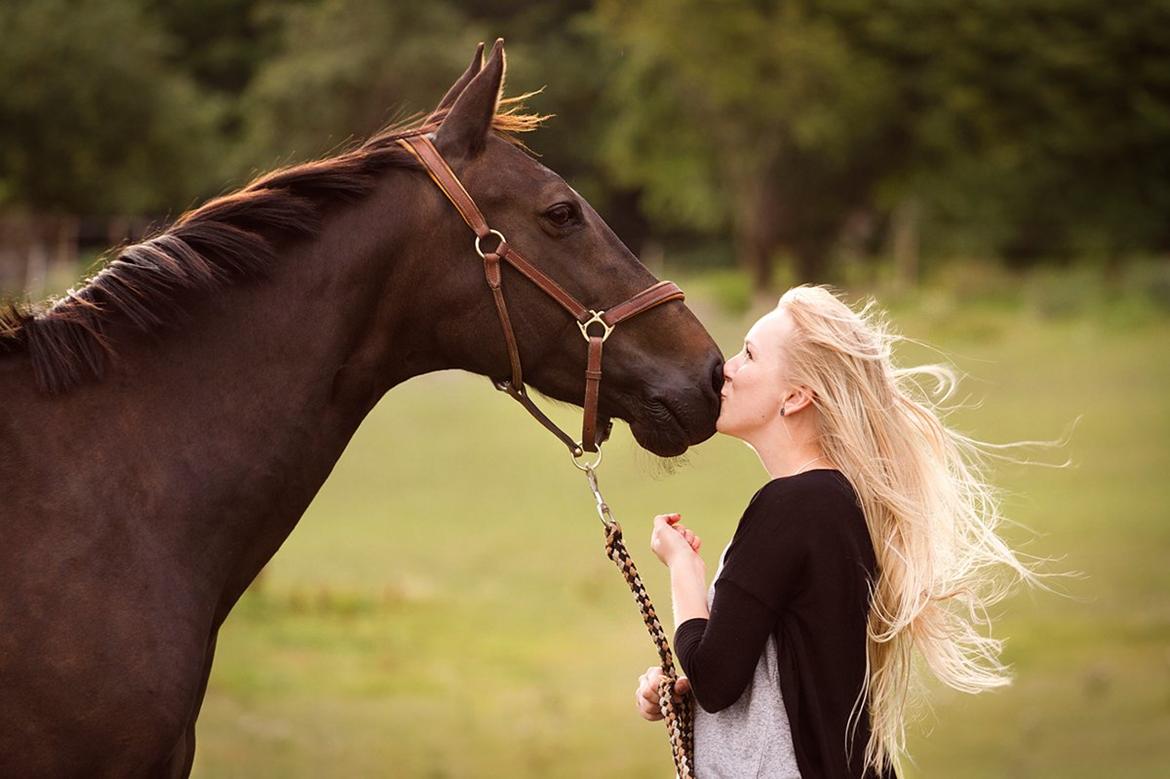 Anden særlig race Paskal - <3 billede 1