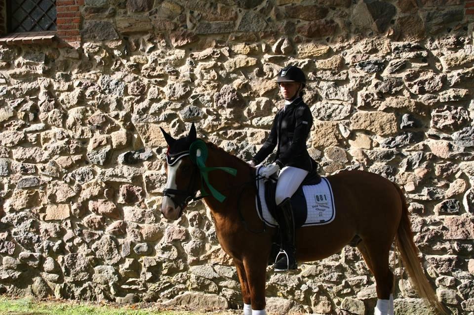 Tysk Sportspony Proud Don Caruso A-PONY - Nr. 11 til DM 2013 billede 18