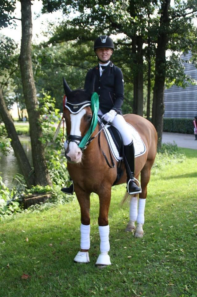 Tysk Sportspony Proud Don Caruso A-PONY - Nr. 11 til DM 2013 billede 19
