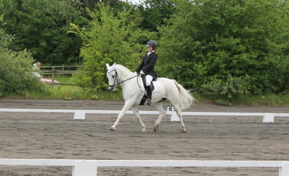 Anden særlig race Heri's Skywalker Conall billede 16