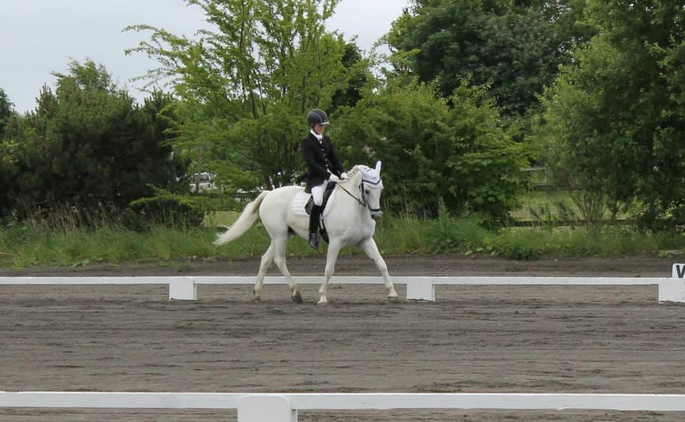 Anden særlig race Heri's Skywalker Conall billede 17