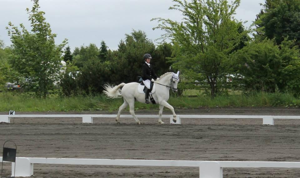 Anden særlig race Heri's Skywalker Conall billede 18