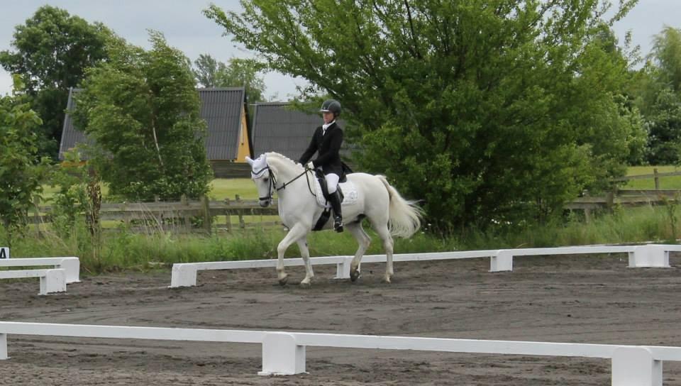 Anden særlig race Heri's Skywalker Conall billede 19