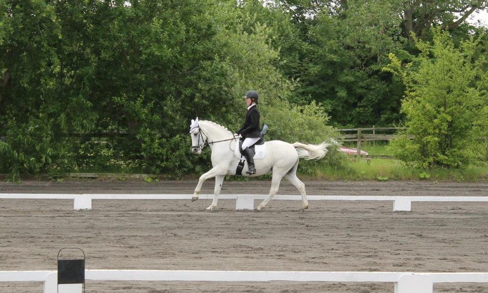 Anden særlig race Heri's Skywalker Conall billede 20
