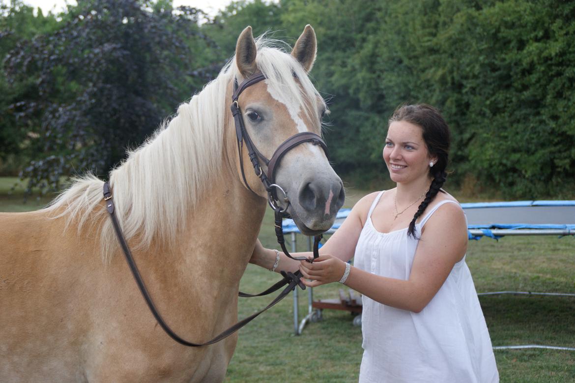 Haflinger Enghaves Bounty [Tidl. Hest] billede 3