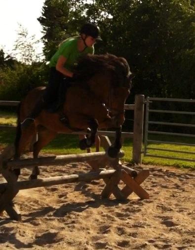 Islænder Vigdis fra Frederiksdal billede 7