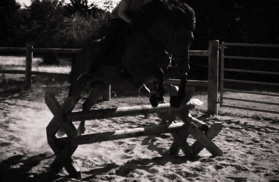 Islænder Vigdis fra Frederiksdal billede 10