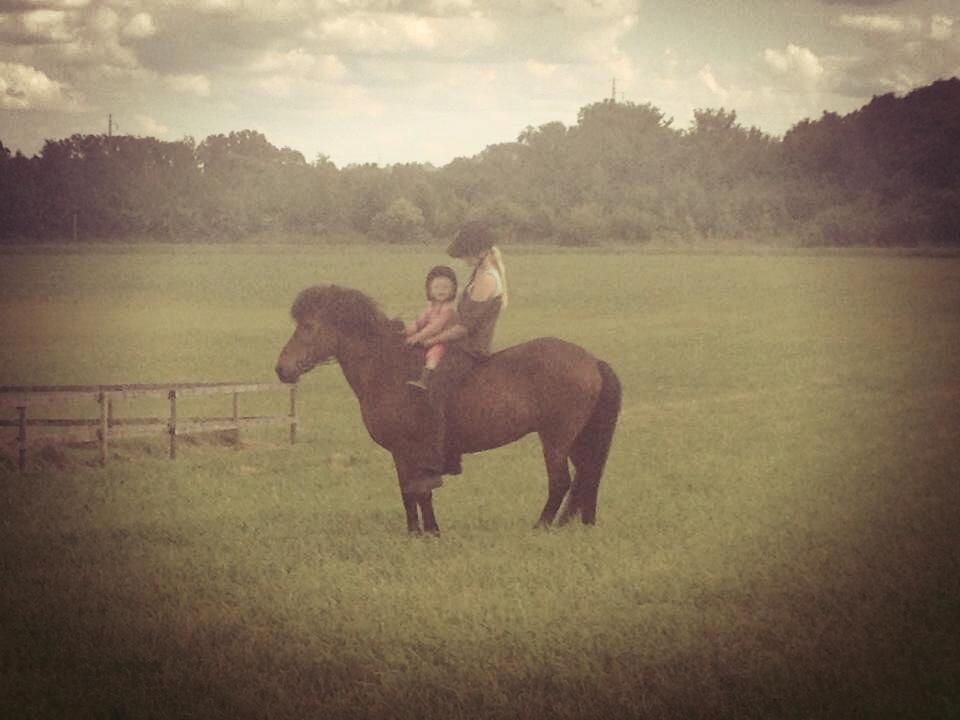 Islænder Vigdis fra Frederiksdal billede 9