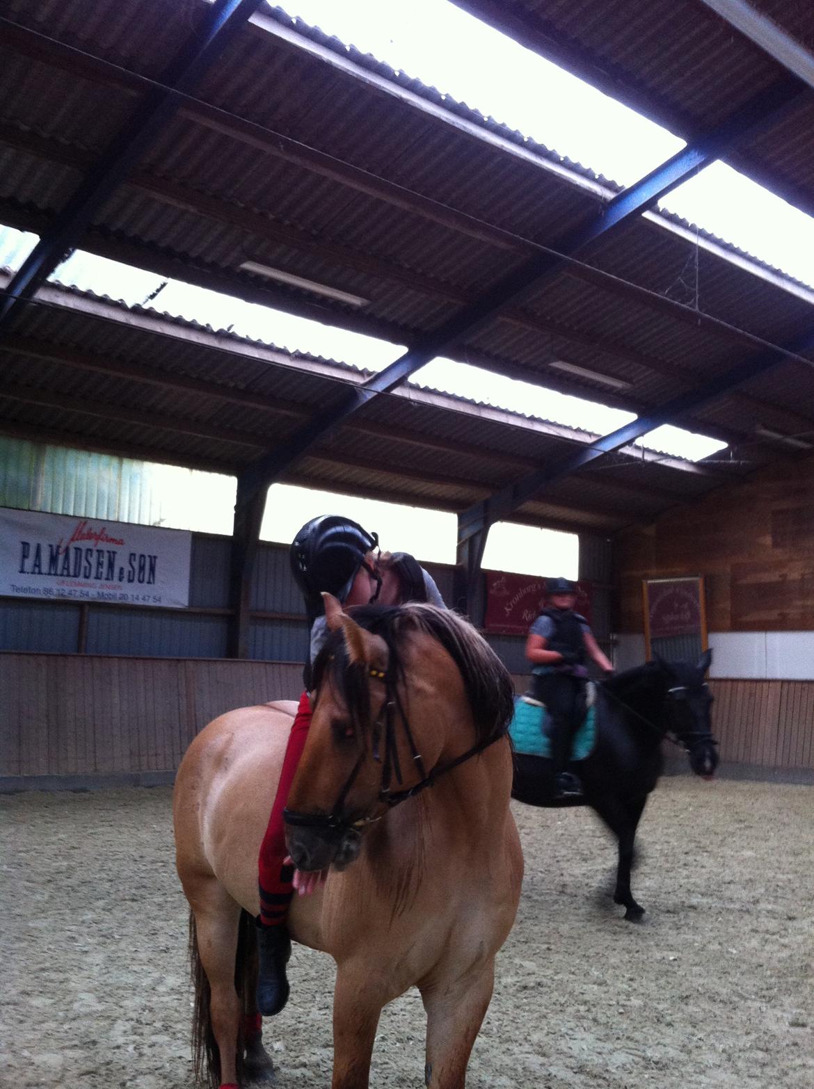 Anden særlig race Dumbledore  billede 32