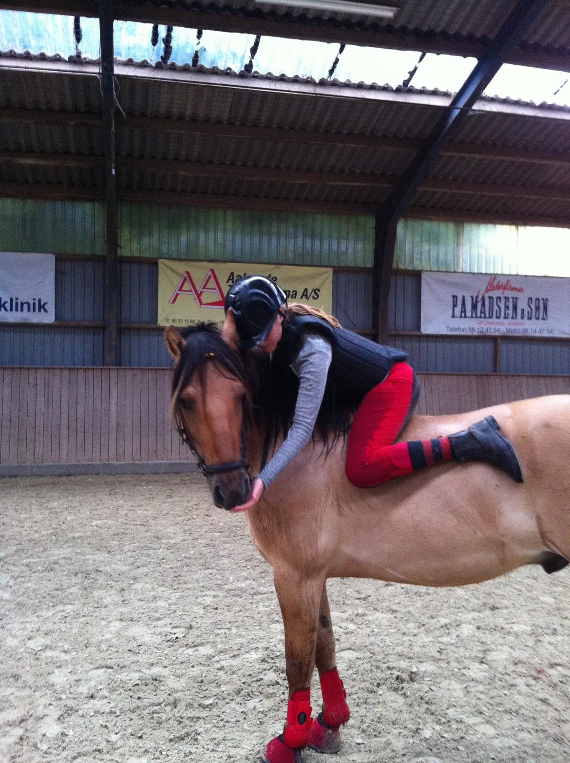 Anden særlig race Dumbledore  billede 14