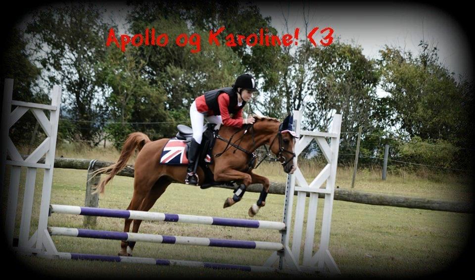 DSP Apollo (Polle fisen) <3 - Apollo og jeg ude på Blaakvandshuk ridkelub! LE! <3 billede 2