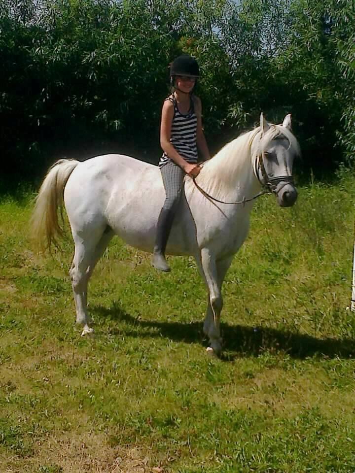 Connemara Camille (Mille) - Her er jeg ude og ride med min y- rytter :D billede 16