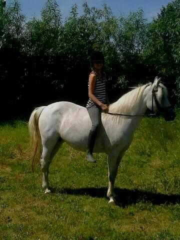 Connemara Camille (Mille) - Og her er jeg også ude og ride med min y- rytter billede 17