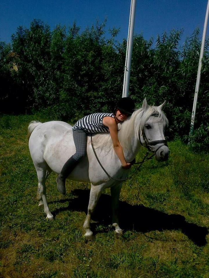 Connemara Camille (Mille) - Mille jeg elsker dig sku <3<3 billede 19