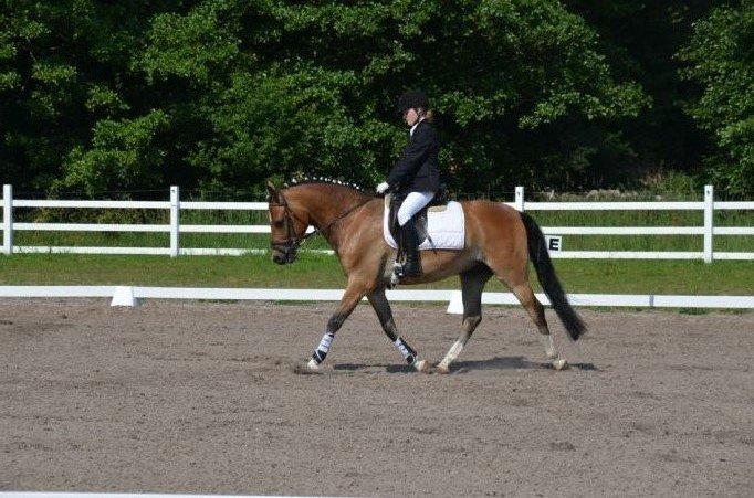 DSP Dalto af silkebakken - Min dejlige pony, et billed fra stævnet på den ride-lejr jeg var på:-)
 billede 3