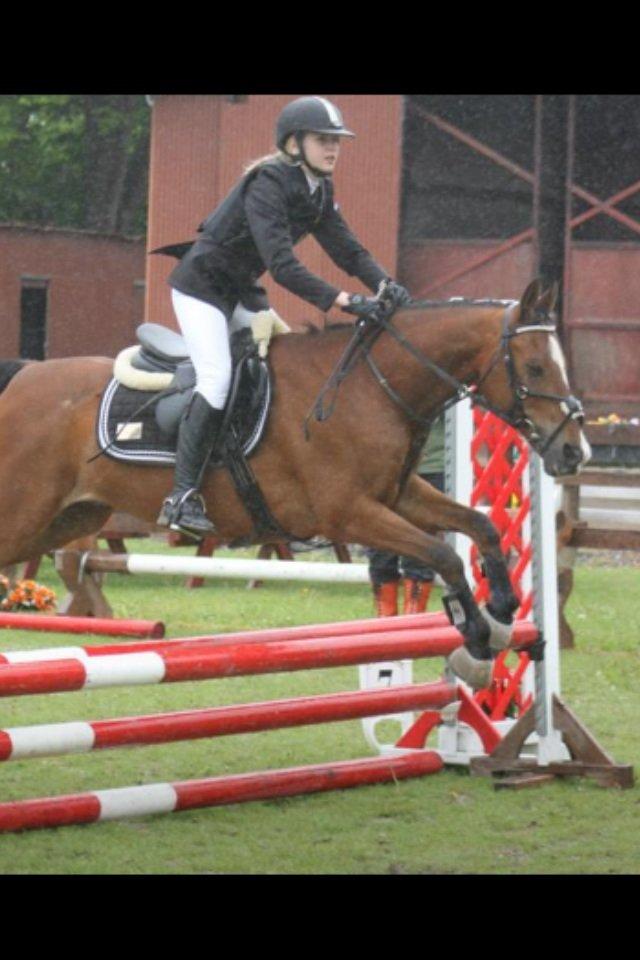 DSP Passion *palle* (skadet) - klubmesterskabet<3 billede 17