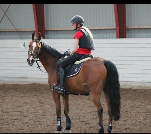 DSP Passion *palle* (skadet) - Springtræning på ridelejren<3 billede 18