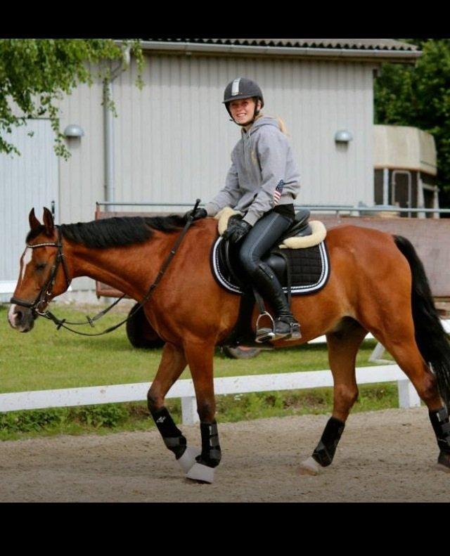 DSP Passion *palle* (skadet) billede 19