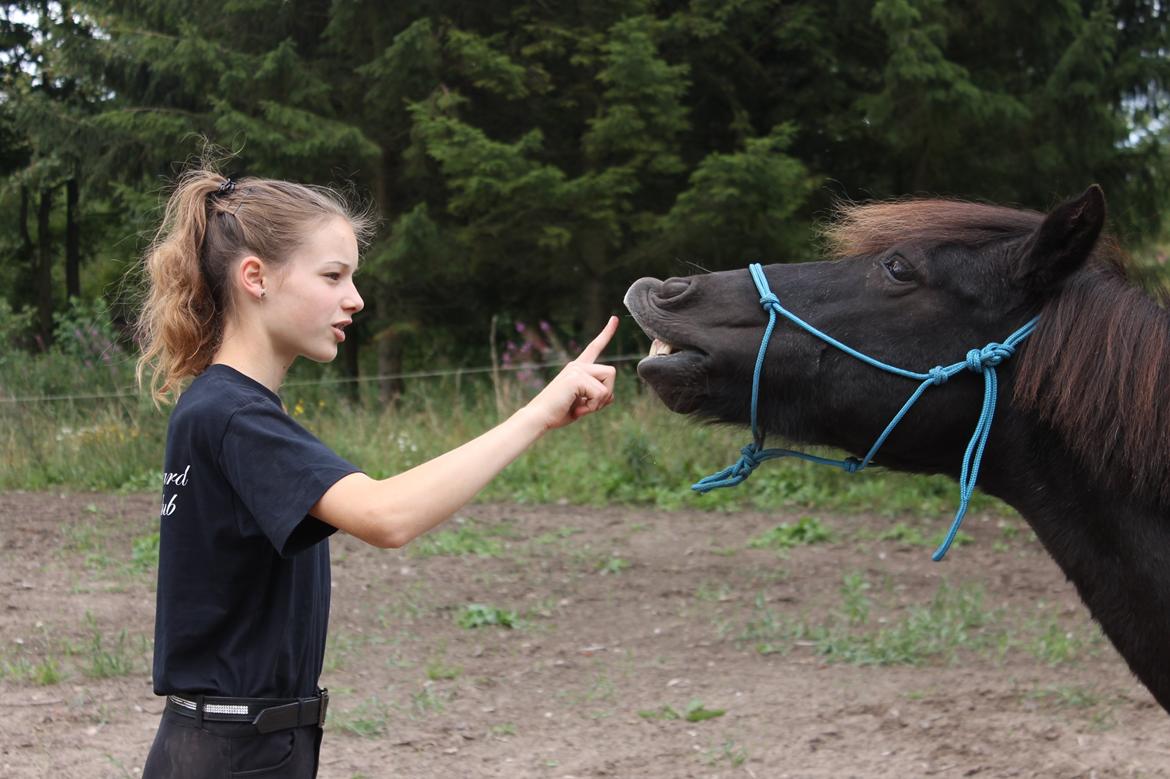 Anden særlig race Iceman - Smiiiiiiiiiilll :-D billede 13