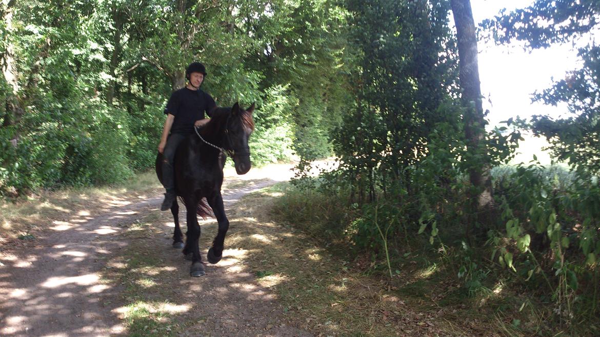 Frieser Temmy billede 39