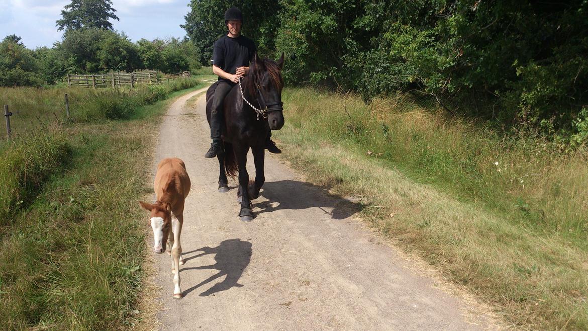 Frieser Temmy billede 40