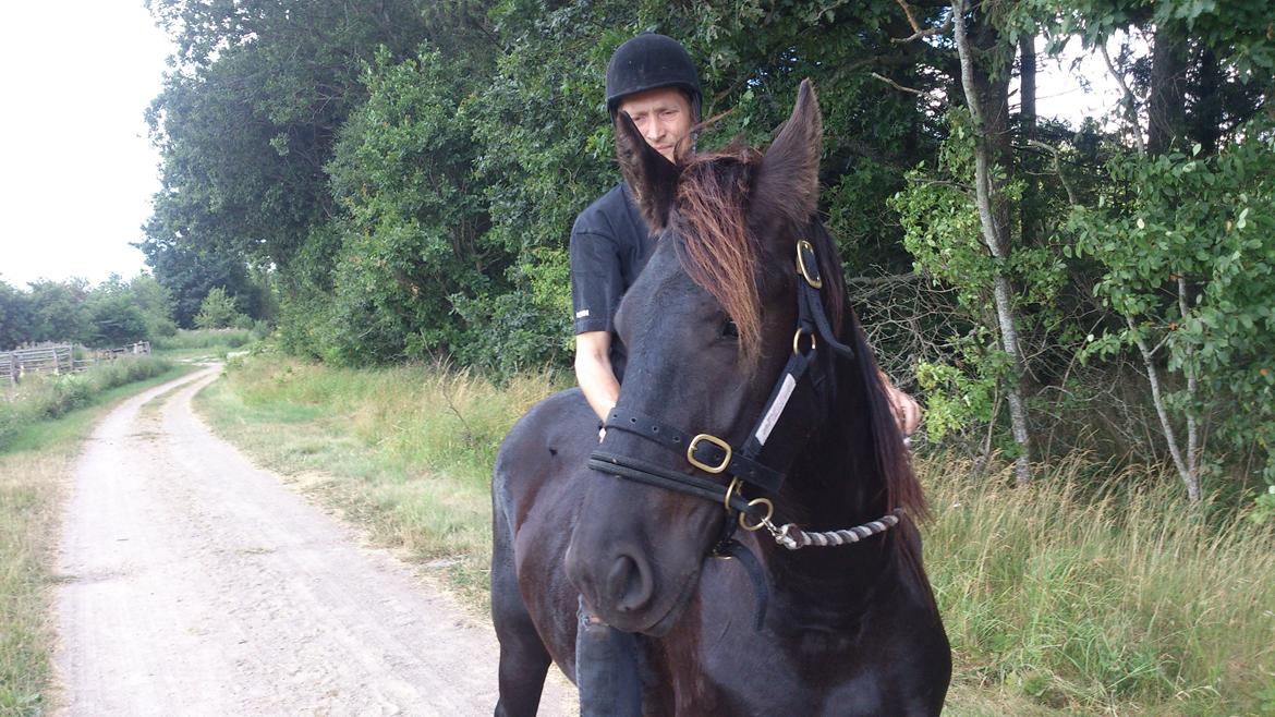 Frieser Temmy billede 41