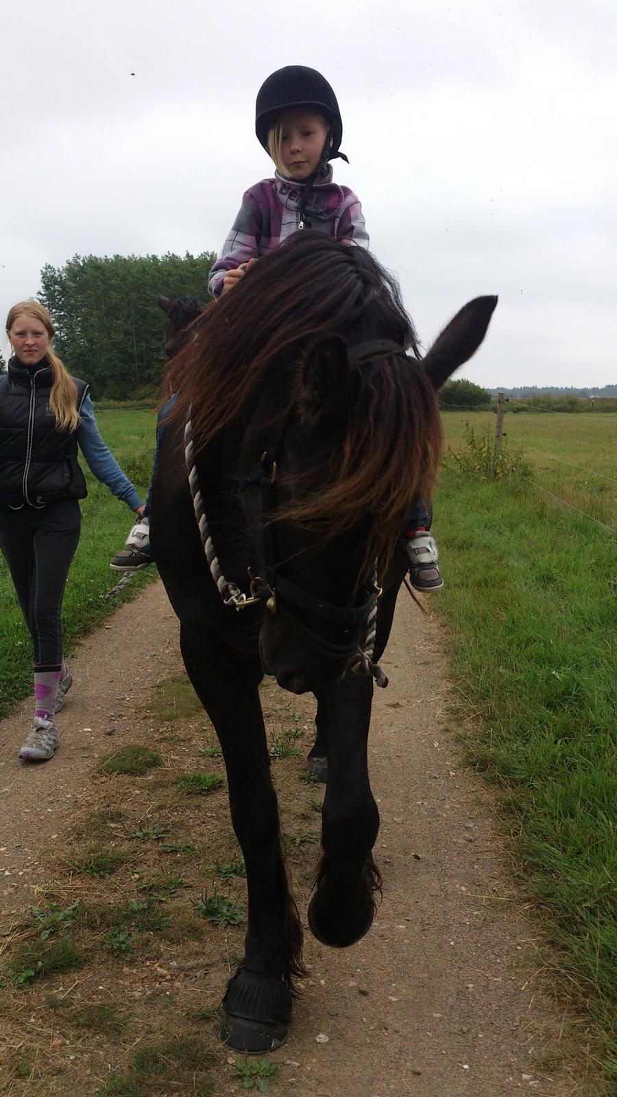 Frieser Temmy billede 42