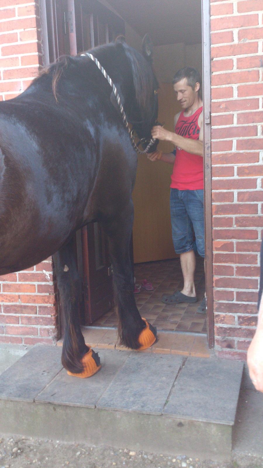 Frieser Temmy billede 44